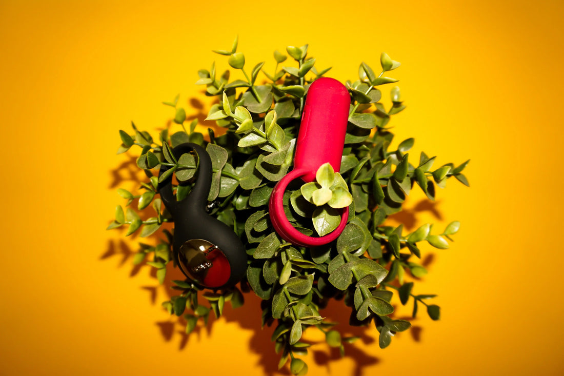 Deux sextoys noir et rouge posés sur des feuilles, sur fond jaune.