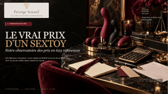 Combien coûte vraiment un sextoy ? Notre observatoire des prix